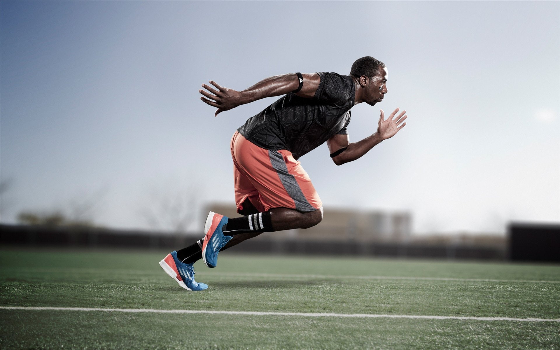 福克斯时隔伤愈，与文班亚马联袂登场：新星联盟续写篮球传奇